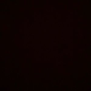 Meet your Posher, Sebastian